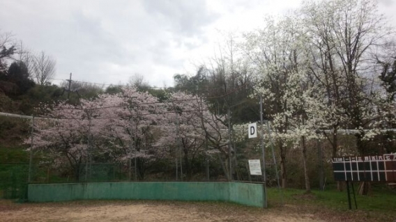 4月3日通常練習